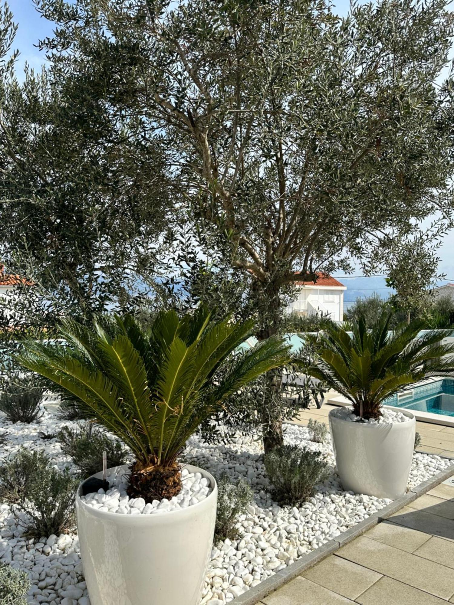 Apartments Marina Trogir Exterior photo